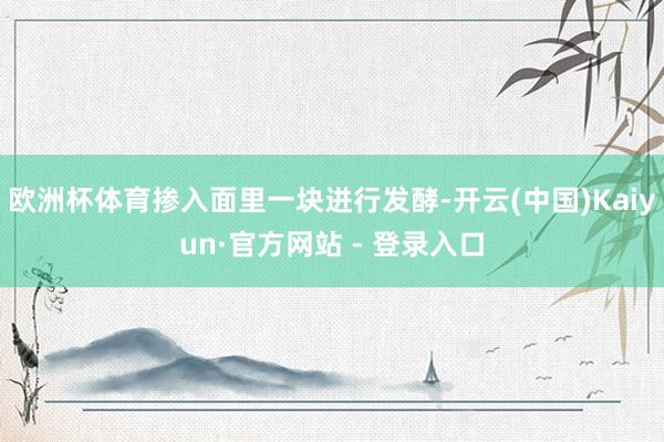 欧洲杯体育掺入面里一块进行发酵-开云(中国)Kaiyun·官方网站 - 登录入口