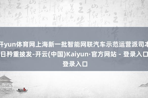 开yun体育网上海新一批智能网联汽车示范运营派司本日矜重披发-开云(中国)Kaiyun·官方网站 - 登录入口