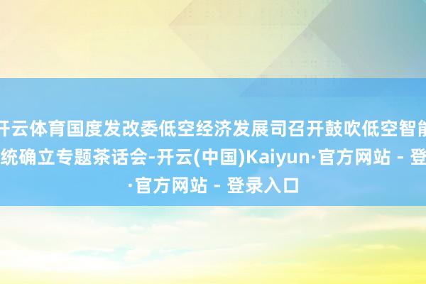 开云体育国度发改委低空经济发展司召开鼓吹低空智能网相干统确立专题茶话会-开云(中国)Kaiyun·官方网站 - 登录入口