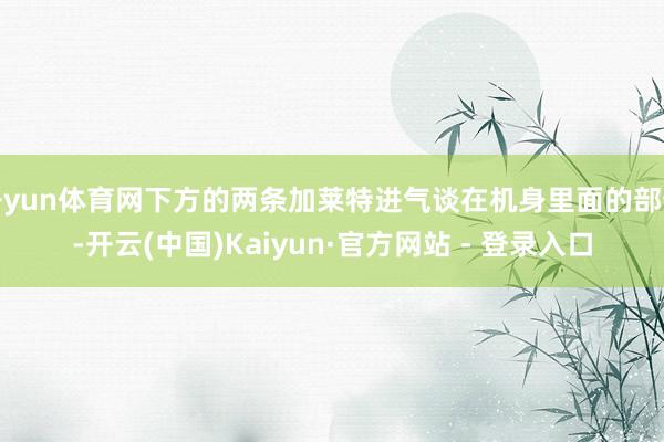 开yun体育网下方的两条加莱特进气谈在机身里面的部分-开云(中国)Kaiyun·官方网站 - 登录入口