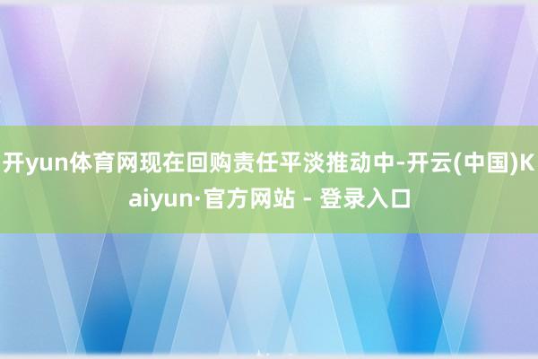 开yun体育网现在回购责任平淡推动中-开云(中国)Kaiyun·官方网站 - 登录入口
