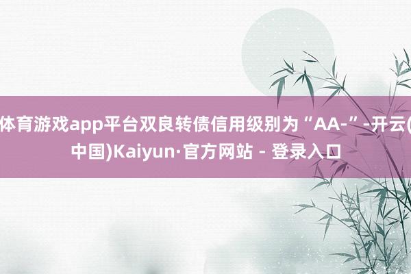 体育游戏app平台双良转债信用级别为“AA-”-开云(中国)Kaiyun·官方网站 - 登录入口