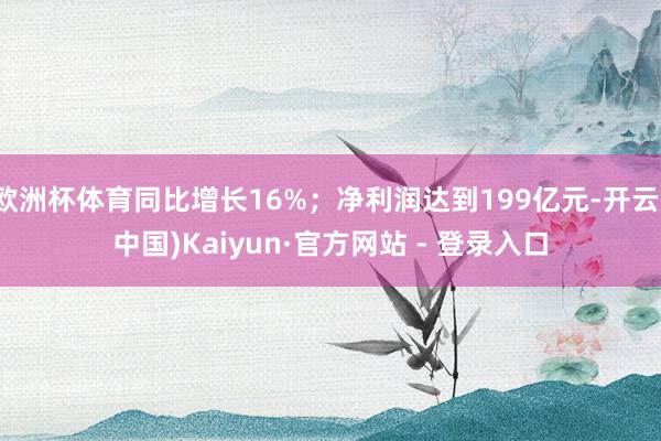 欧洲杯体育同比增长16%；净利润达到199亿元-开云(中国)Kaiyun·官方网站 - 登录入口